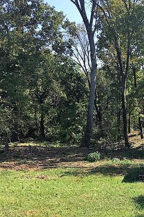 3rd image of 370 Dove Canyon Dr