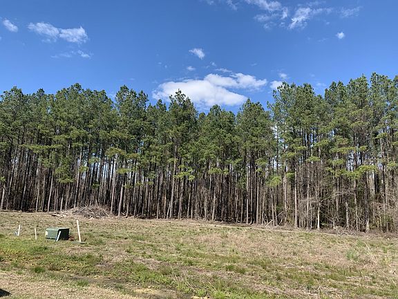4th image of 1331 Wood Sorrel Dr