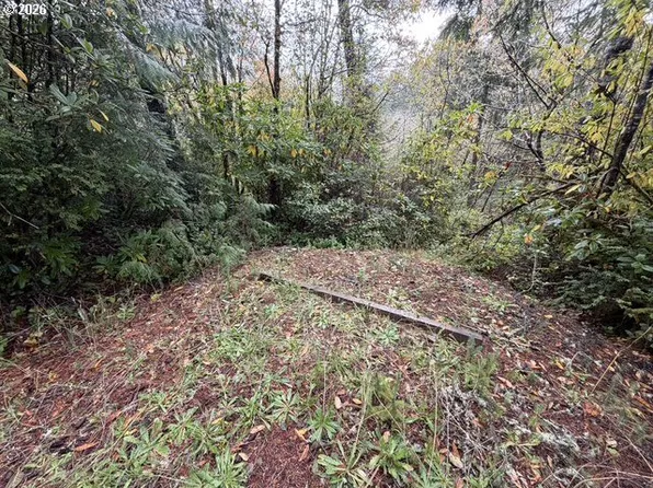 Tl312 Sea Lion Dr, Florence, OR 97439
