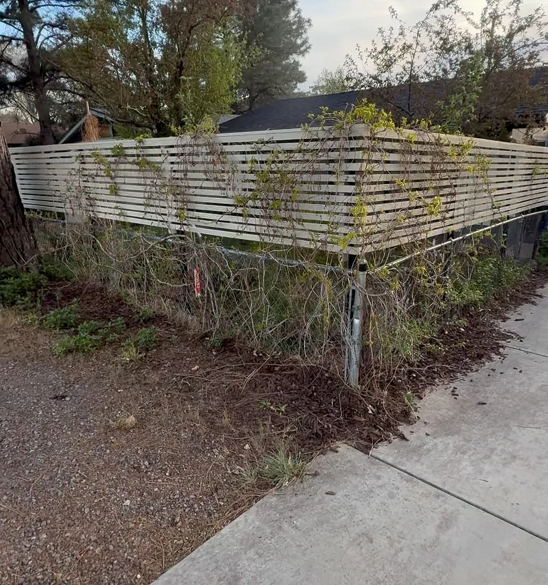 1 bed, 750 sqft, $2,000 — Photo 2