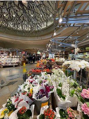 Rented by Compass | media 19