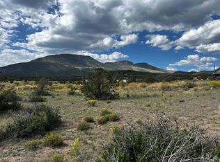 18 Chapel Hill Ct, South Fork, CO 81154
