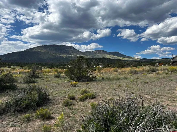 18 Chapel Hill Court, South Fork, CO 81154