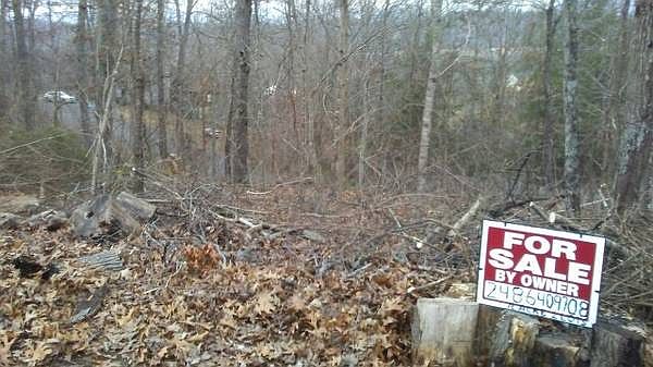 1st image of Eagle Nest #78