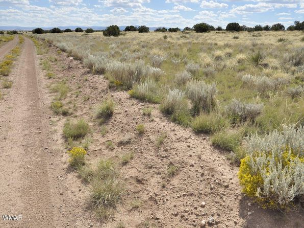 232 Acres River Springs Rnch, Saint Johns, AZ 85936