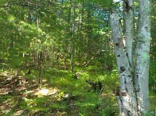 LOT 11 N Shore Dr, Rhinelander, WI 54501