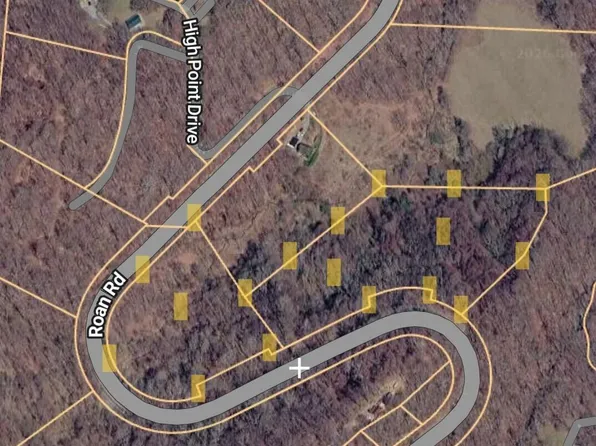 Tbd Highway 143, Roan Mountain, TN 37687