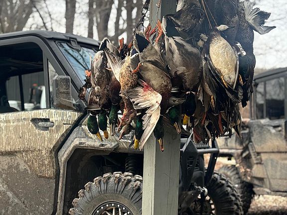 89th image of this home