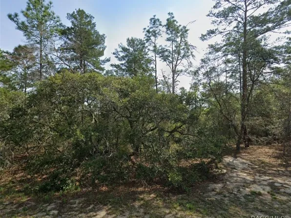 9219 N Akola Way, Citrus Springs, FL 34434