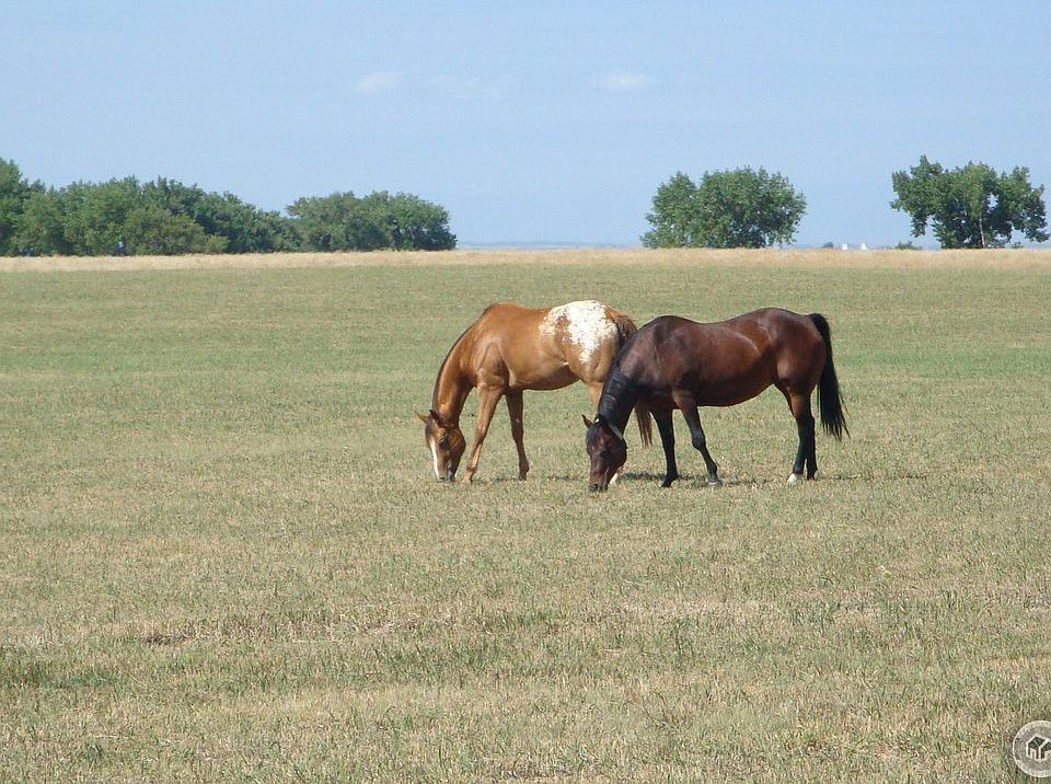 1st image of 0 TBD County Road 80
