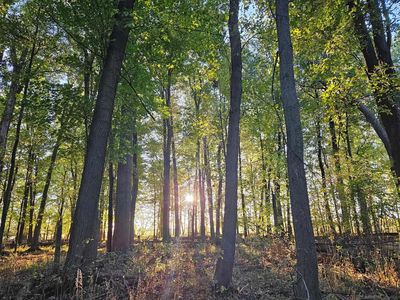 0 Kilgore Rd, Croswell, MI, 48422