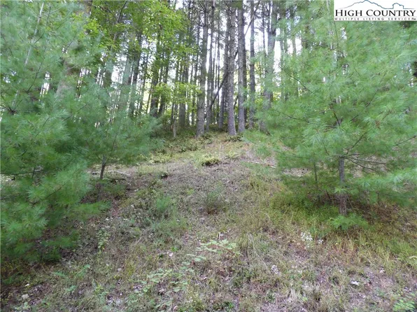 TBD Woodlands Drive, Piney Creek, NC 28663