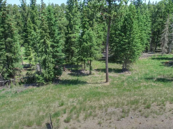 11292 Trailside Loop, Lead, SD 57754
