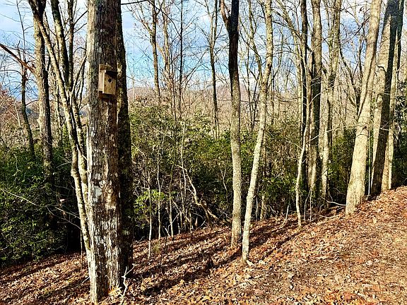 5th image of Ridgeline Dr