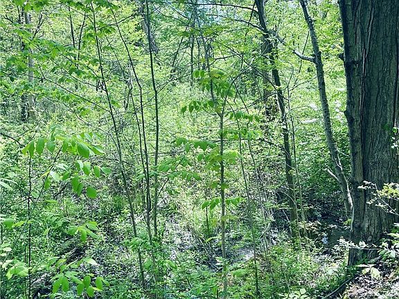 3rd image of Bates Rd