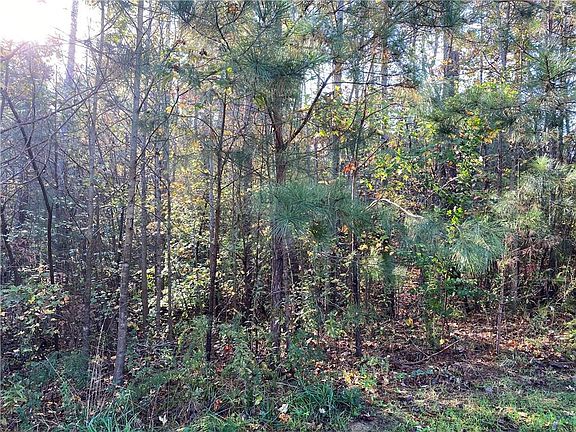 5th image of 200 Stonebridge Blvd Lot 0