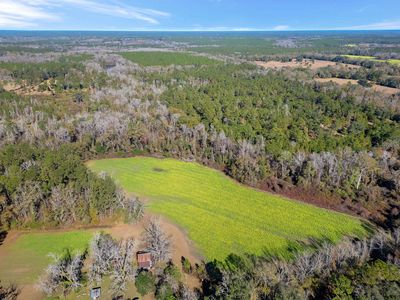 Xxx Barnes Rd, Monticello, FL, 32344