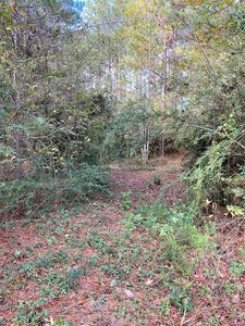 7782 W State Highway 7, Nacogdoches, TX, 75964