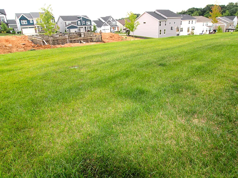 818 Memsie Dr — Photo 42