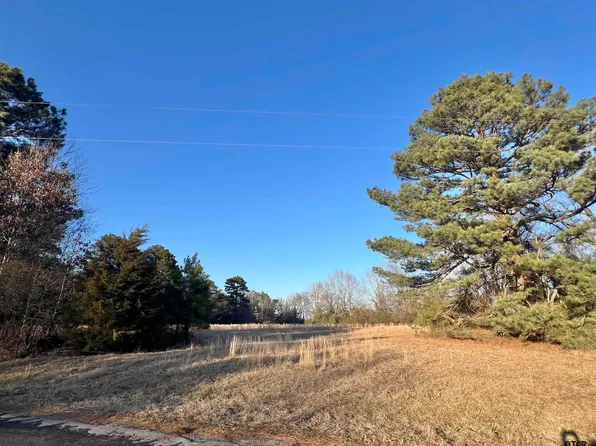 Tbd Cr 4122, Simms, TX 75574