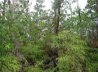 LOT 37 Lot 37, Volcano, HI 96785