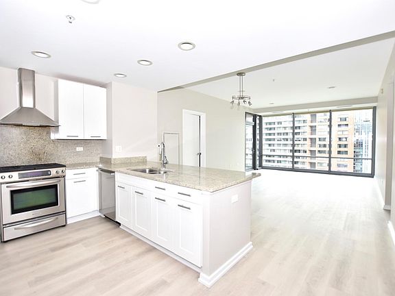 4th image of 240 E Illinois St #4