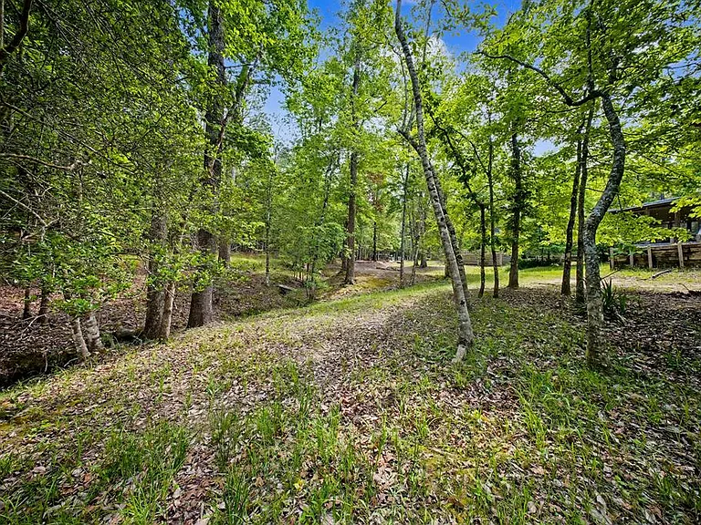 160 Delcrest Dr — Photo 41