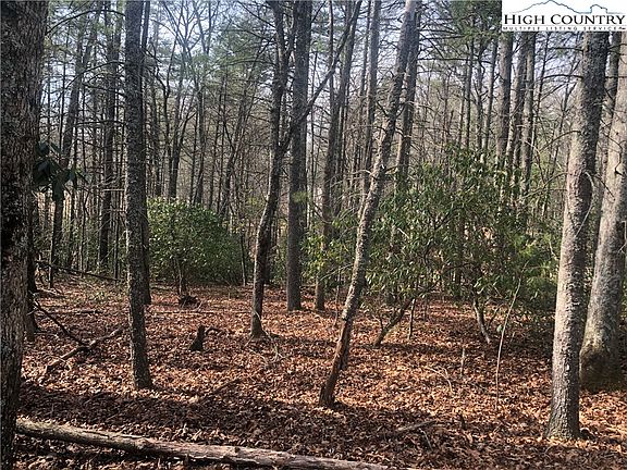 2nd image of TBD Painted Laurel Lot 20 Drive