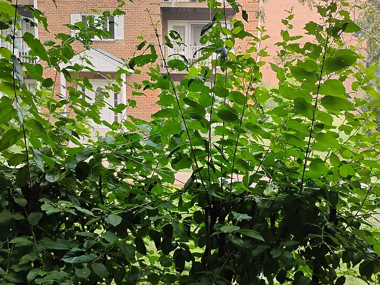 4284 Central Rd #101 — Photo 7