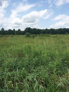 S Duck Creek Rd, North Jackson, OH, 44451