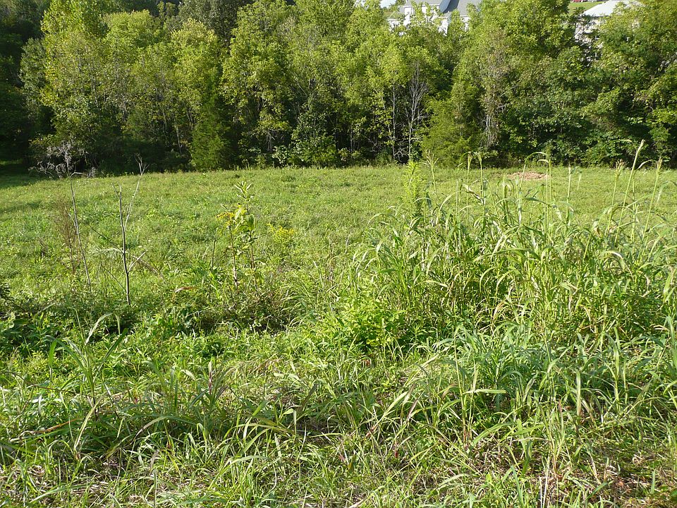 1st image of 97 Chloe Ln