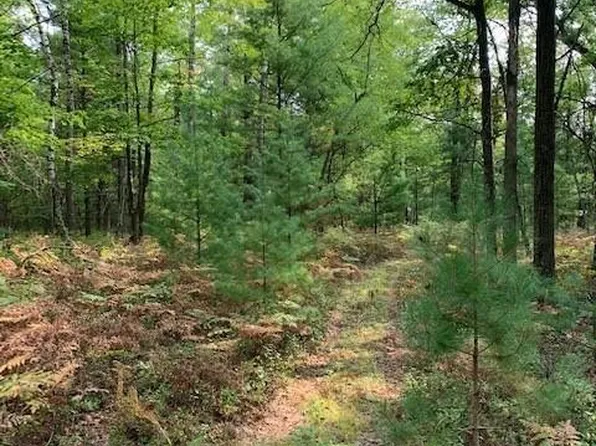 Lot 7 County Road J, Neillsville, WI 54456