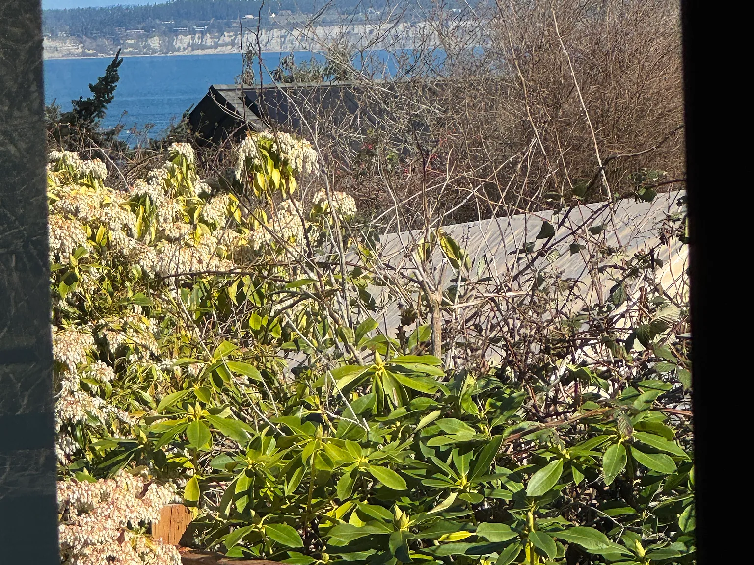 1 bed, 650 sqft, $2,500 — Photo 4