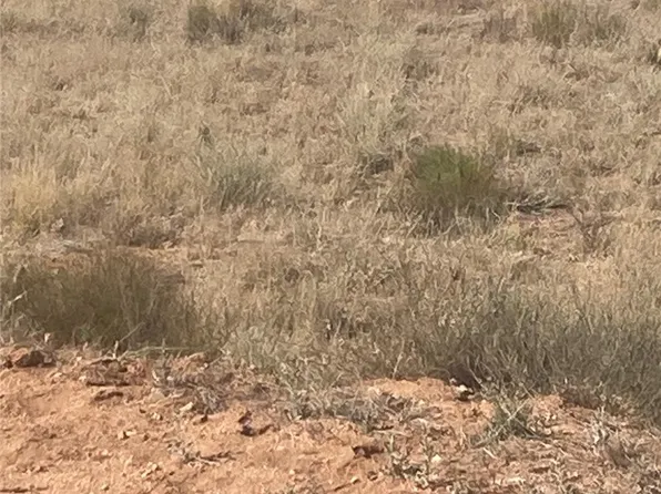 Ooo E Brooks Blvd, Kingman, AZ 86401