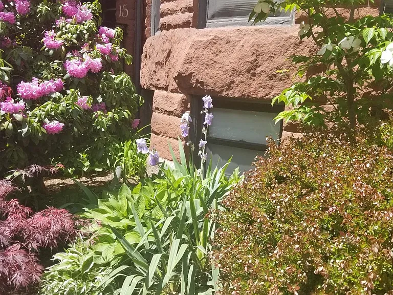 37 Bay State Rd #5B — Photo 7