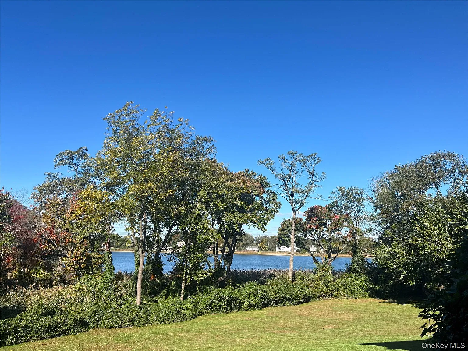 3 bed, 2.5 bath, 3051 sqft, $5,500 — Photo 2