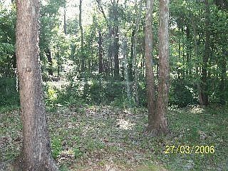 4th image of 11611 Gwynford Ln