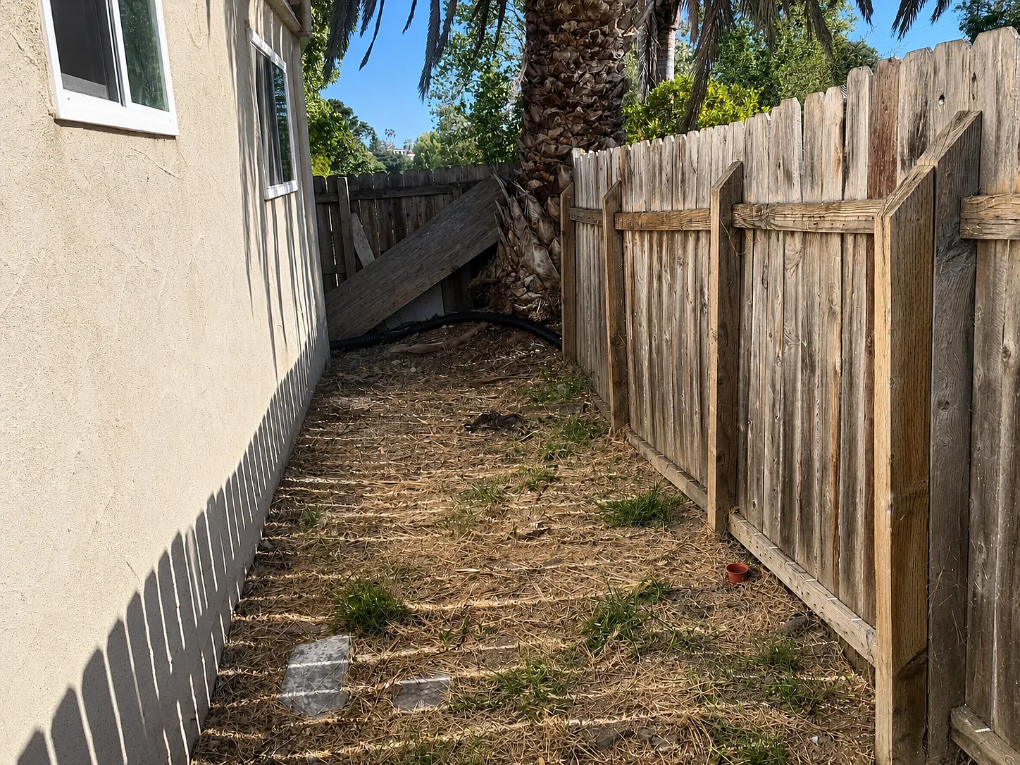 2 bed, 1000 sqft, $2,800 — Photo 2