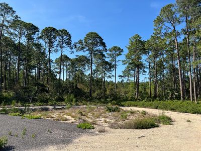  County Road 347, Cedar Key, FL, 32625
