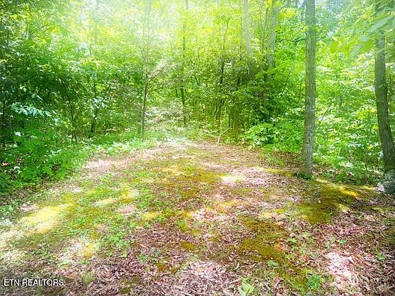 5th image of 0 Paradise Ridge Dr