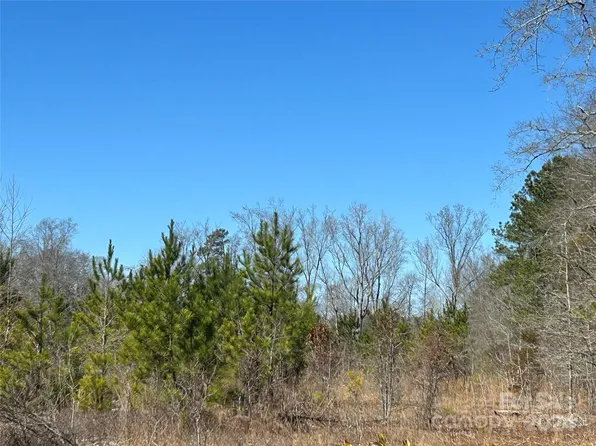 LOT 7 Buffalo Creek Rd, Kershaw, SC 29067
