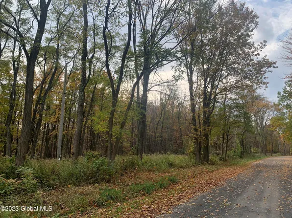Lot 1 Clickman Road, Westerlo, NY 12193