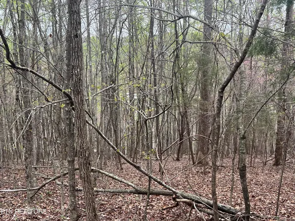 Norris View Ln, Lafollette, TN 37766