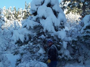 23610 E Henry Rd, Liberty Lake, WA 99019