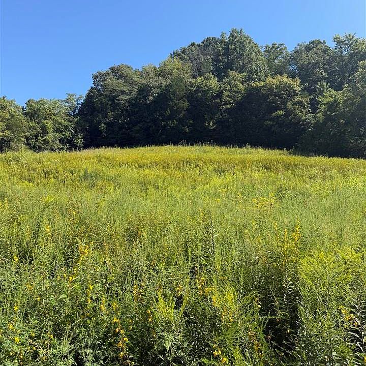 1st image of LOT Jackson Hollow Rd