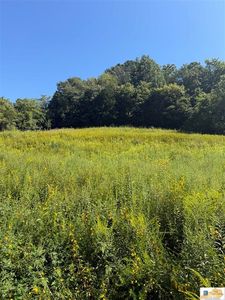 LOT Jackson Hollow Rd, Burkesville, KY, 42717