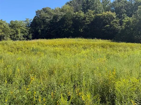 LOT Jackson Hollow Rd, Burkesville, KY 42717