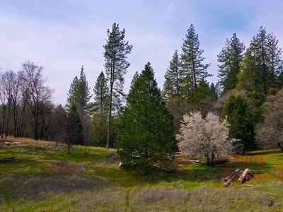 850 Kingston Way #2, Colfax, CA, 95713