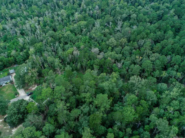 Pinkney Ln, Walker, LA 70785