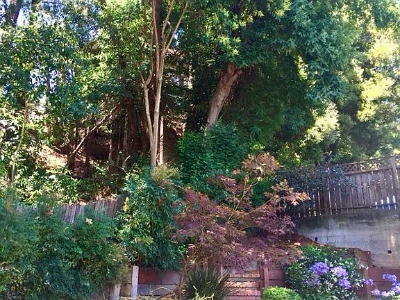 Terraced back patio with park-like feel